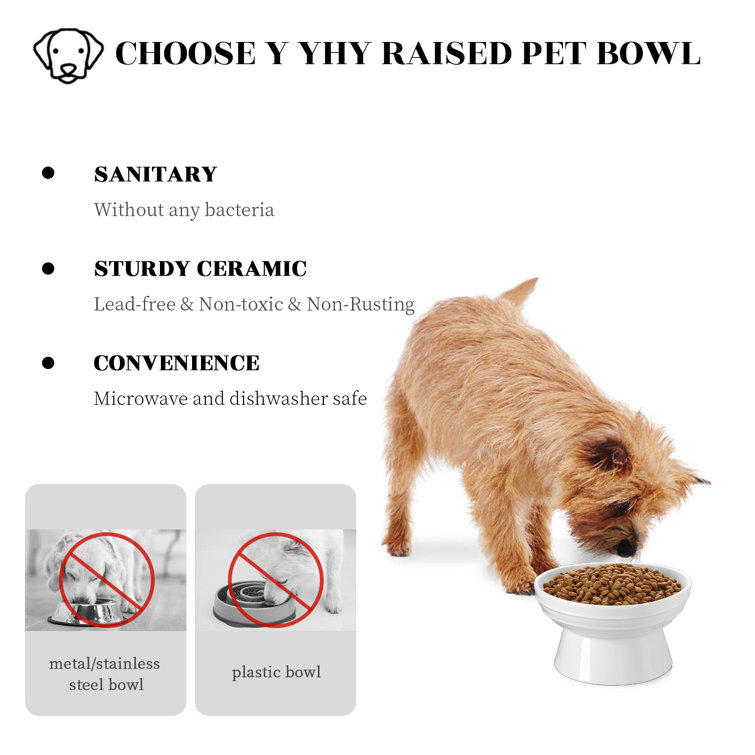 Wayfair hotsell dog bowls